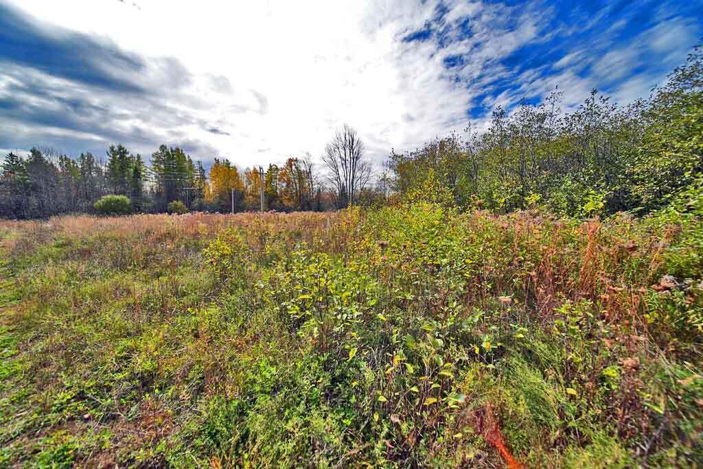 1961 Ludlow Road Ludlow, ME 04730 - Photo 30 of 33 land-to-hobby-farm