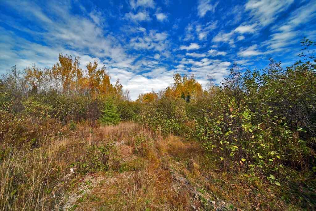 1961 Ludlow Road Ludlow, ME 04730 - Photo 31 of 33 me-land-for-homestead