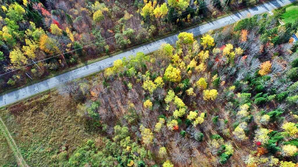 1961 Ludlow Road Ludlow, ME 04730 - Photo 33 of 33 maine-land-acreage