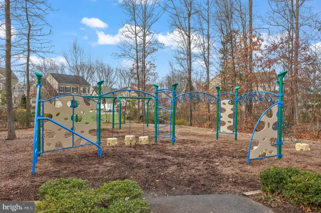 $924,995 | 10351 Spring Iris Drive, Bristow, VA 20136