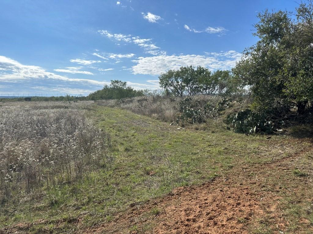 5472 Fm-126 Merkel, TX 79536 - Photo 12 of 22 a view of an outdoor space with wooden fence
