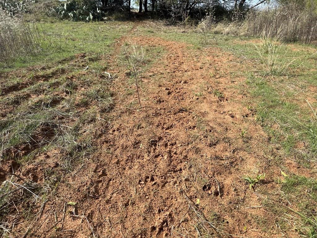 5472 Fm-126 Merkel, TX 79536 - Photo 13 of 22 a view of a yard