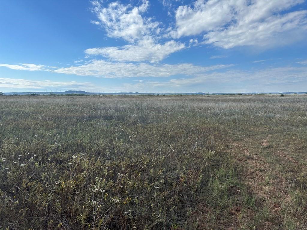 5472 Fm-126 Merkel, TX 79536 - Photo 20 of 22 a view of a field with trees