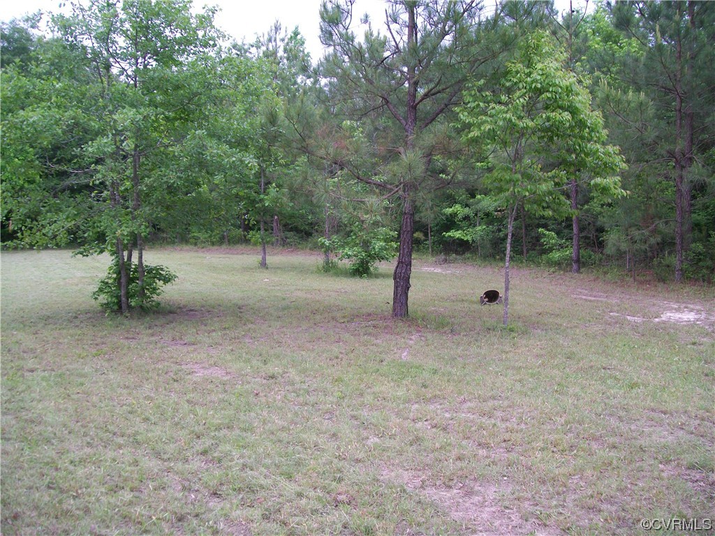 Lot 5 Reese Road Dinwiddie, VA 23841 - Photo 17 of 29 Gallery Image 17