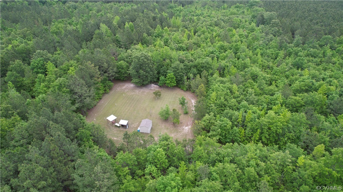 Lot 5 Reese Road Dinwiddie, VA 23841 - Photo 6 of 29 Gallery Image 6