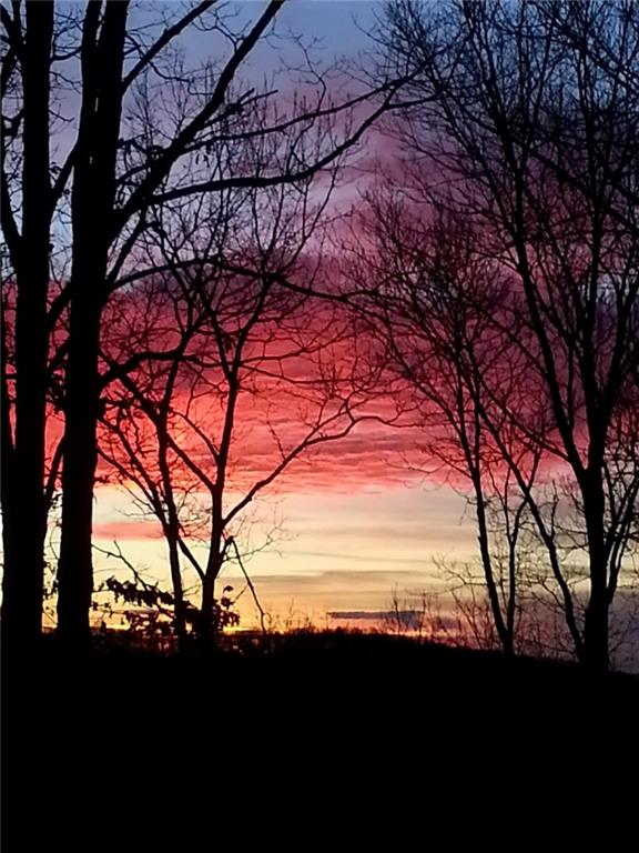 a view of an outdoor and trees