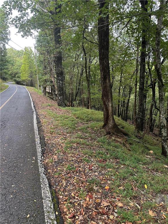 Lt222 Little Hendricks Mountain Road Jasper, GA 30143 - Photo 2 of 19 a view of a field with trees