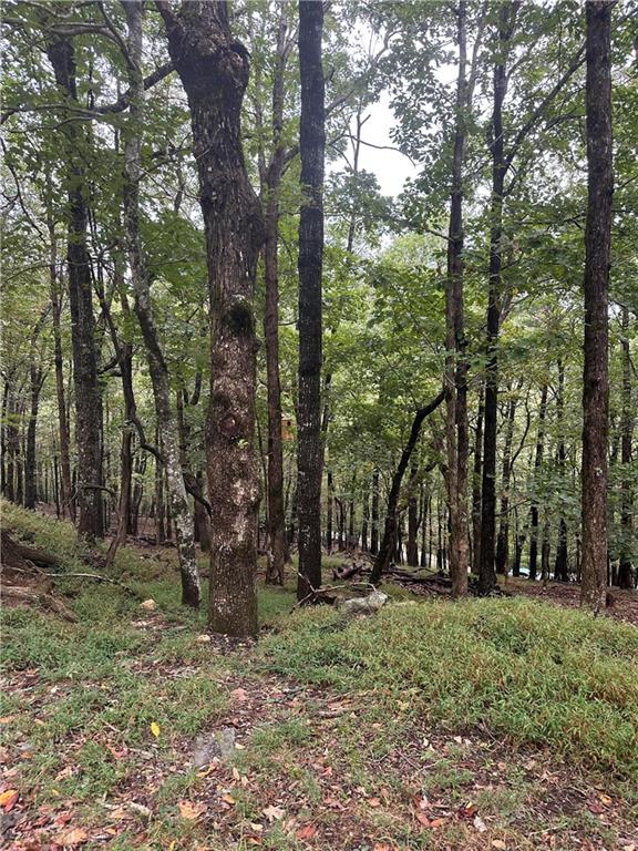 Lt222 Little Hendricks Mountain Road Jasper, GA 30143 - Photo 3 of 30 a view of outdoor space with lots of trees