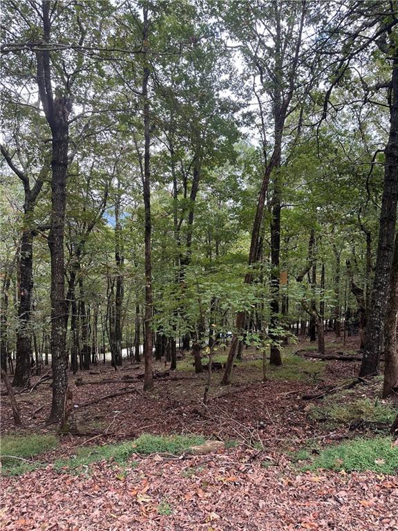 Lt222 Little Hendricks Mountain Road Jasper, GA 30143 - Photo 5 of 30 a view of outdoor space with lots of trees