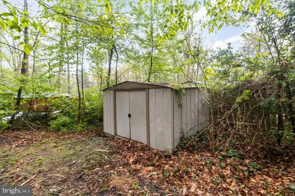 a backyard of a house with lots of plants and tree