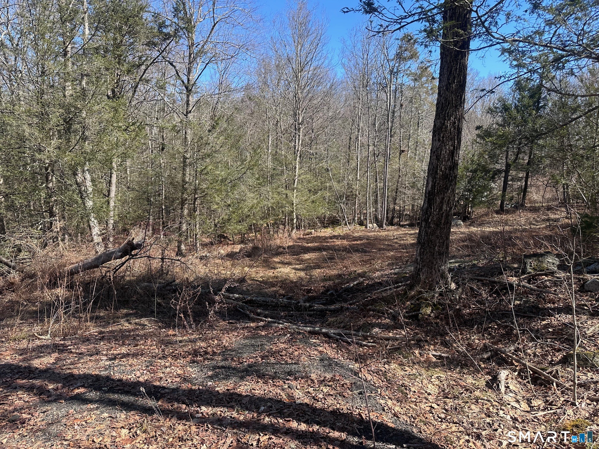 302 Gillette Road New Hartford, CT 06057 - Photo 2 of 7 a view of a tree