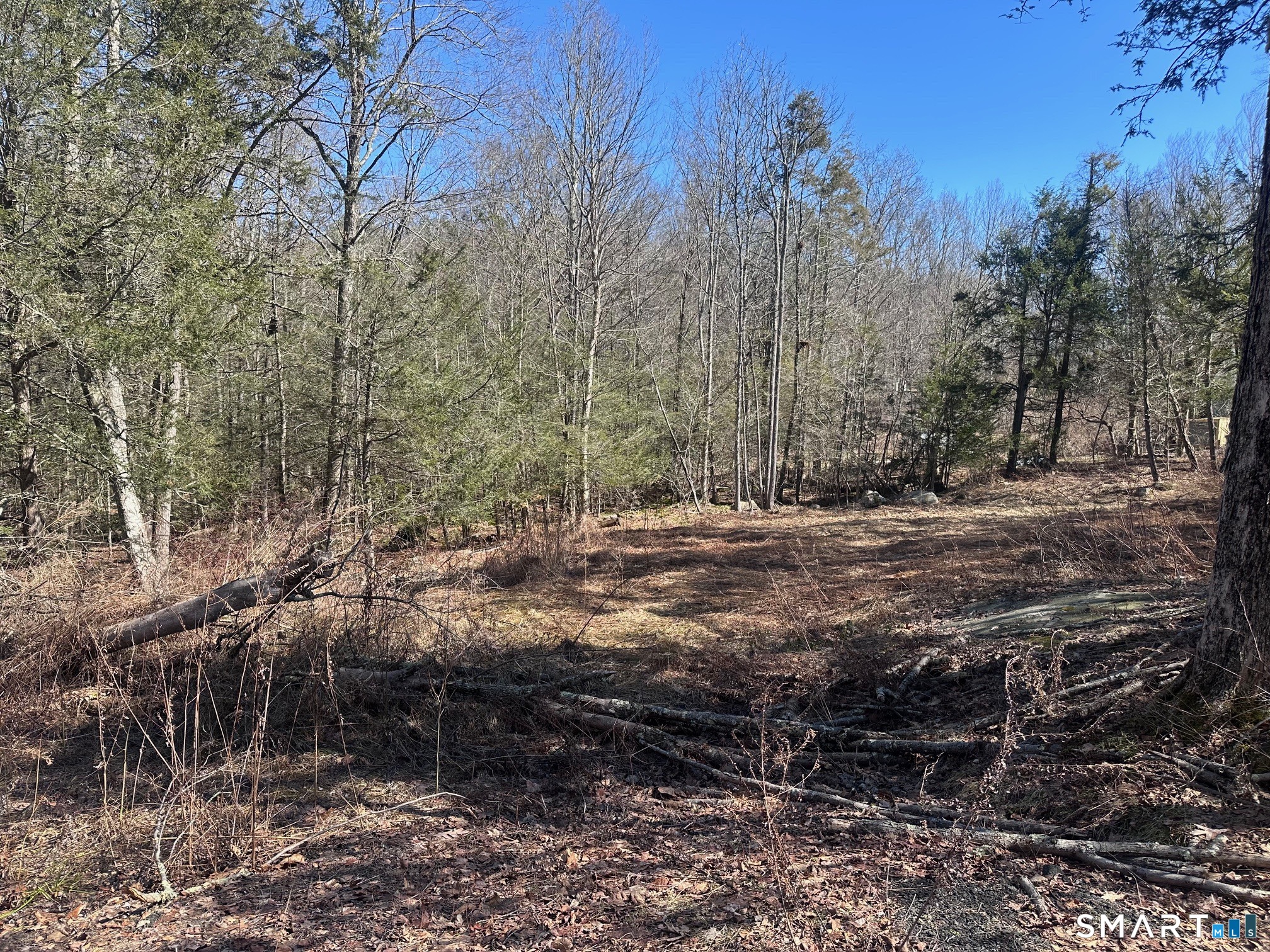 302 Gillette Road New Hartford, CT 06057 - Photo 3 of 7 a view of outdoor space with trees