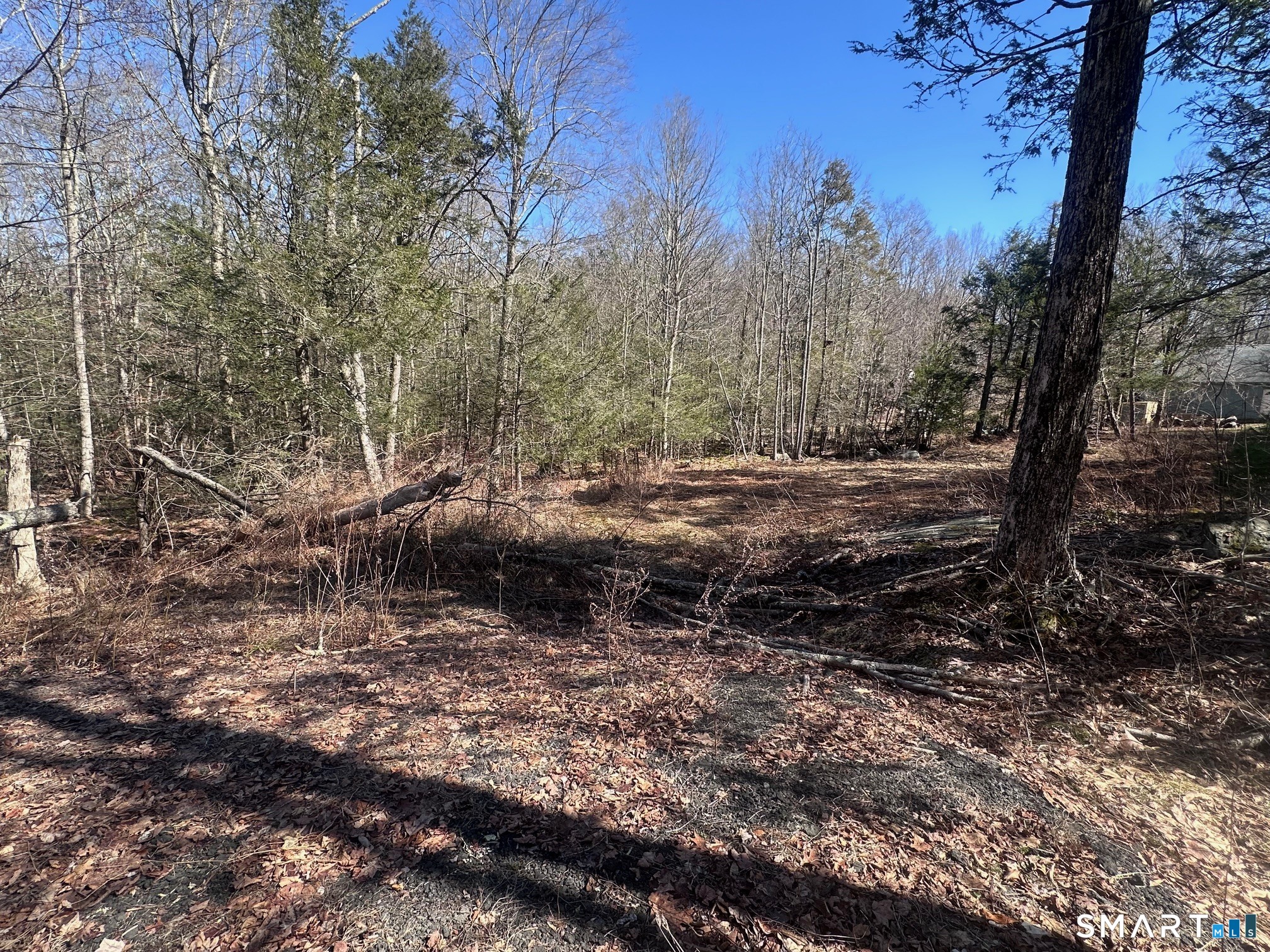 302 Gillette Road New Hartford, CT 06057 - Photo 5 of 7 a view of a forest filled with trees