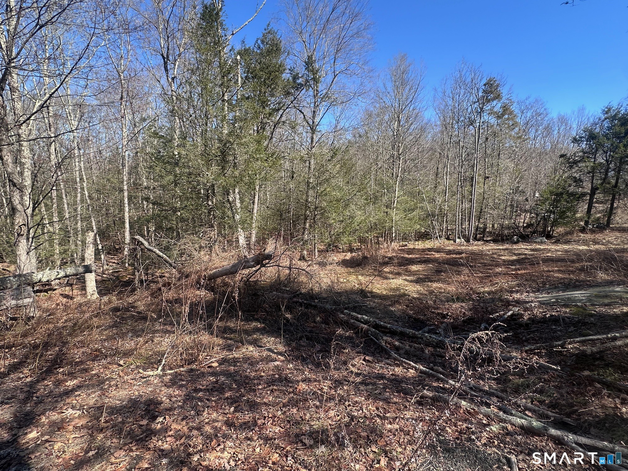 302 Gillette Road New Hartford, CT 06057 - Photo 6 of 7 a view of outdoor space with trees