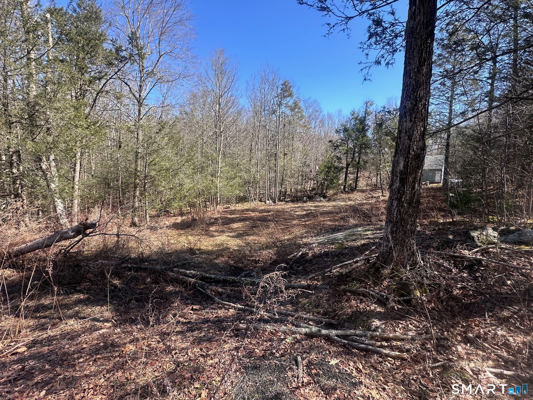 302 Gillette Road New Hartford, CT 06057 - Photo 7 of 7 a view of a forest covered with trees
