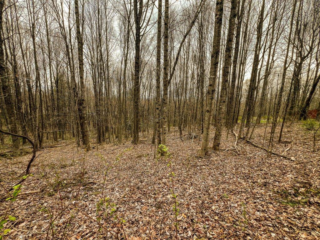 1 Keno Road, Unit 1 Fancy Gap, VA 24328 - Photo 12 of 20 Gallery Image 12