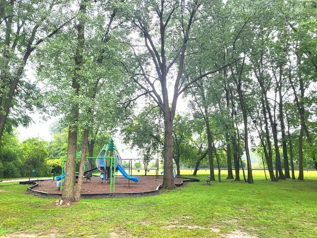 a park view with large trees