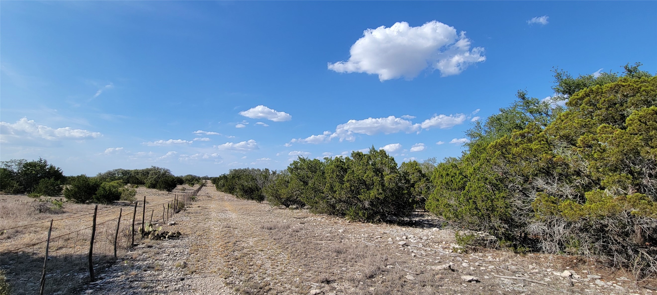 989 Cedar Ridge Road Junction, TX 76849 - Photo 33 of 50 Gallery Image 33