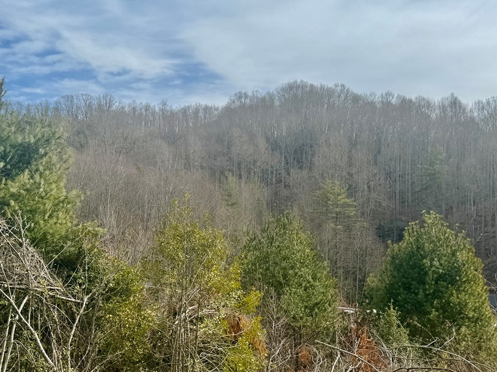 682 Long Branch Road Topton, NC 28781 - Photo 28 of 28 Gallery Image 28