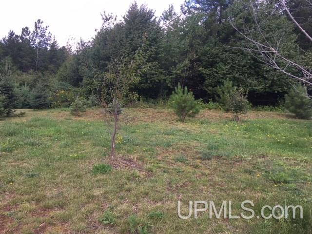Tbd Ellsworth Street Ishpeming, MI 49849 - Photo 2 of 3