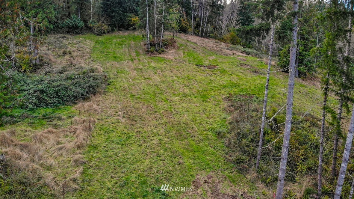 2 Merganser Road Longview, WA 98632 - Photo 4 of 8