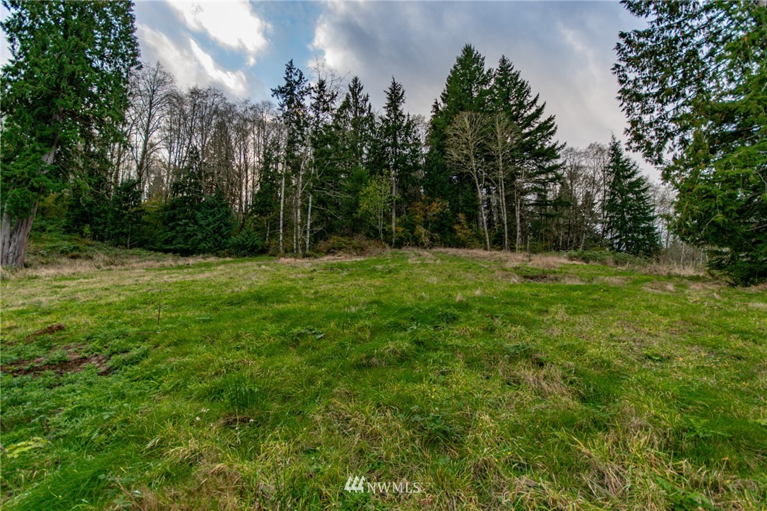 2 Merganser Road Longview, WA 98632 - Photo 5 of 8