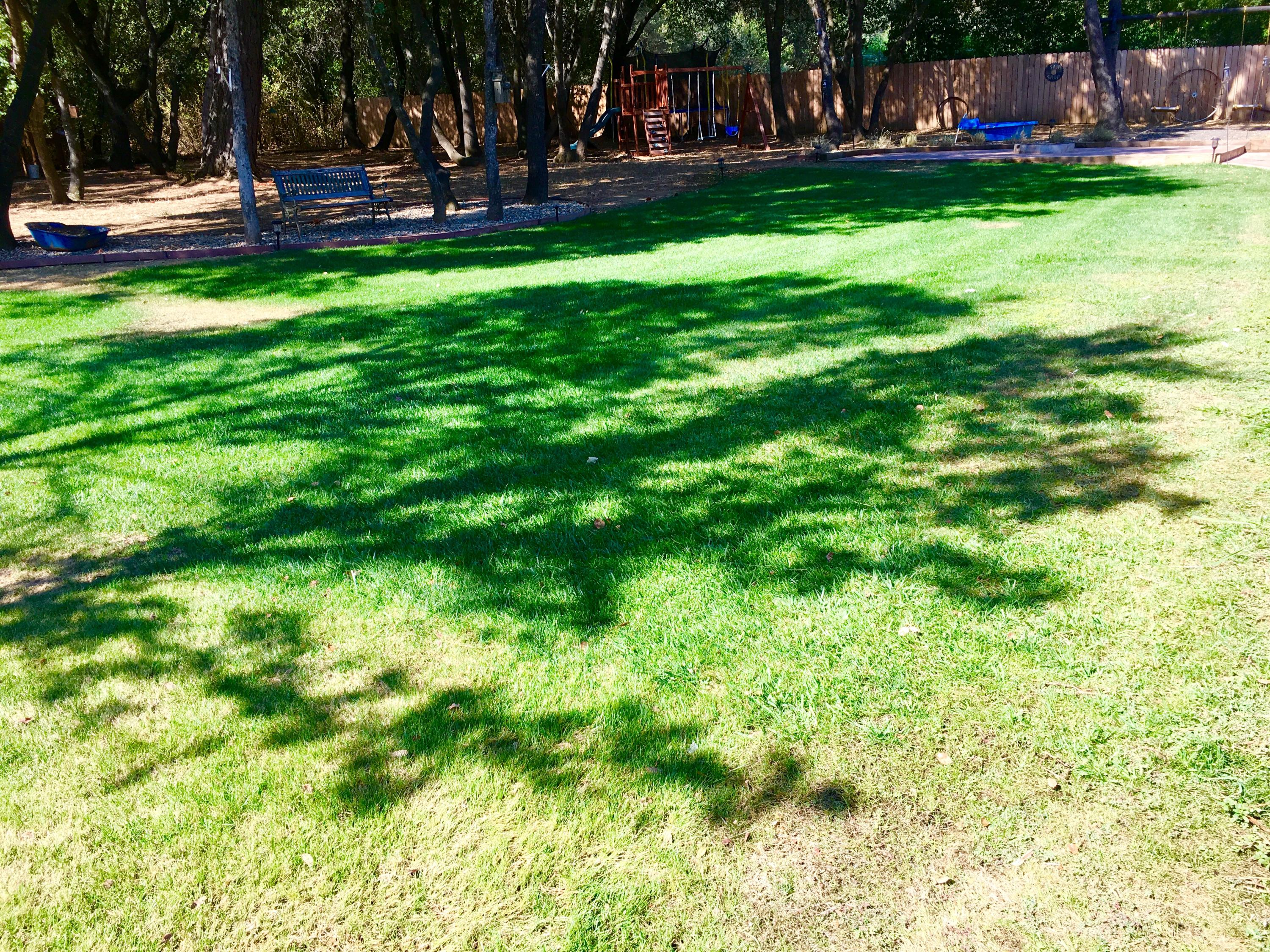 17215 Bowman Road Cottonwood, CA 96022 - Photo 25 of 30 Back lawn