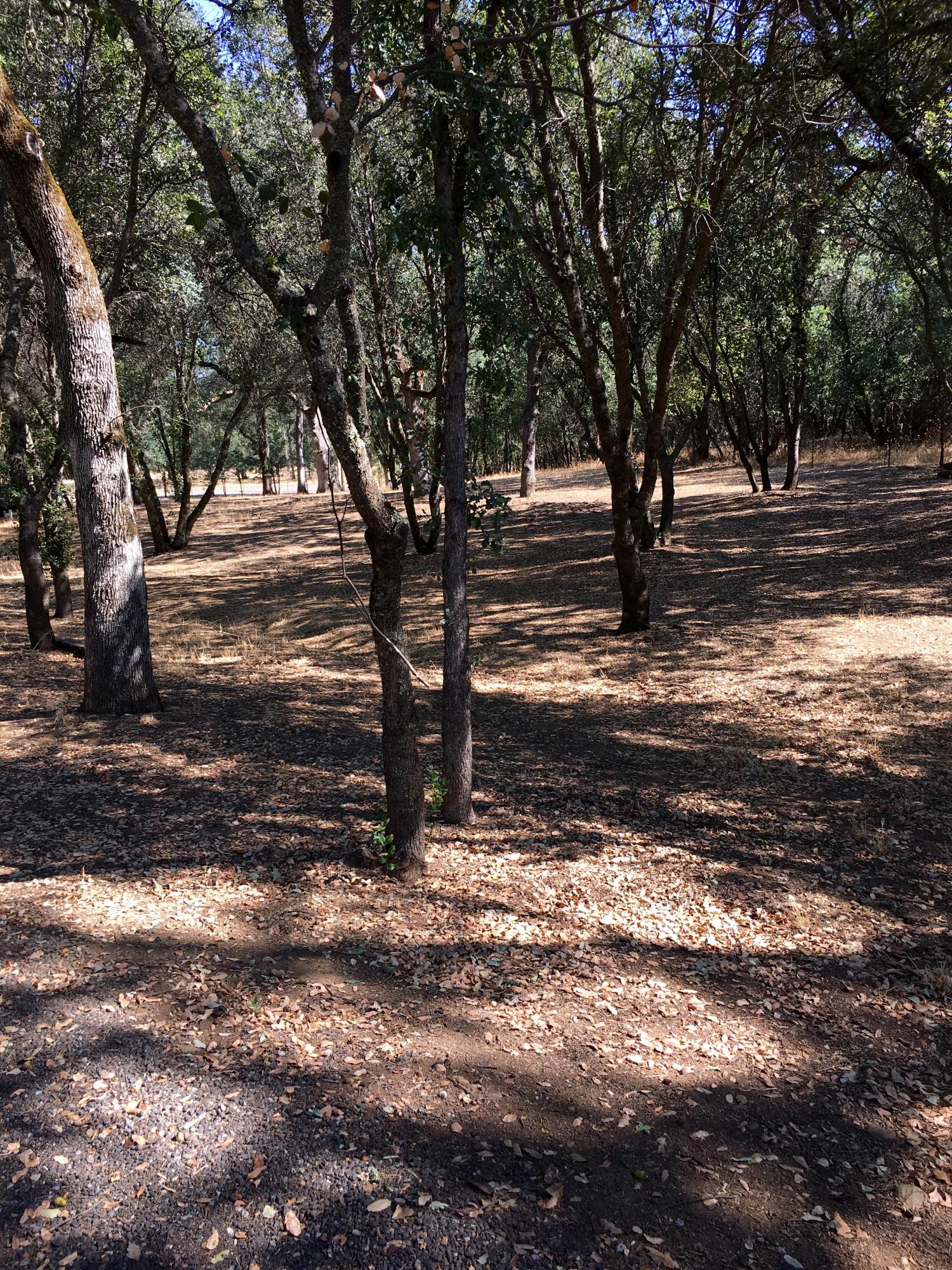 17215 Bowman Road Cottonwood, CA 96022 - Photo 26 of 30 View from front