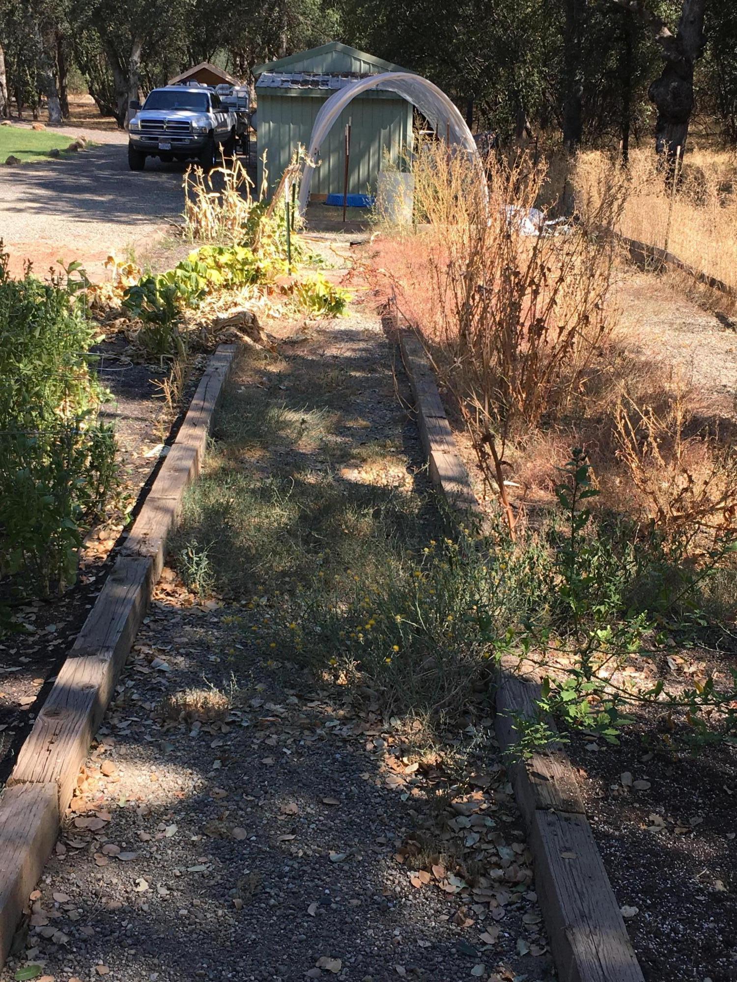 17215 Bowman Road Cottonwood, CA 96022 - Photo 27 of 30 Huge garden area in back of property