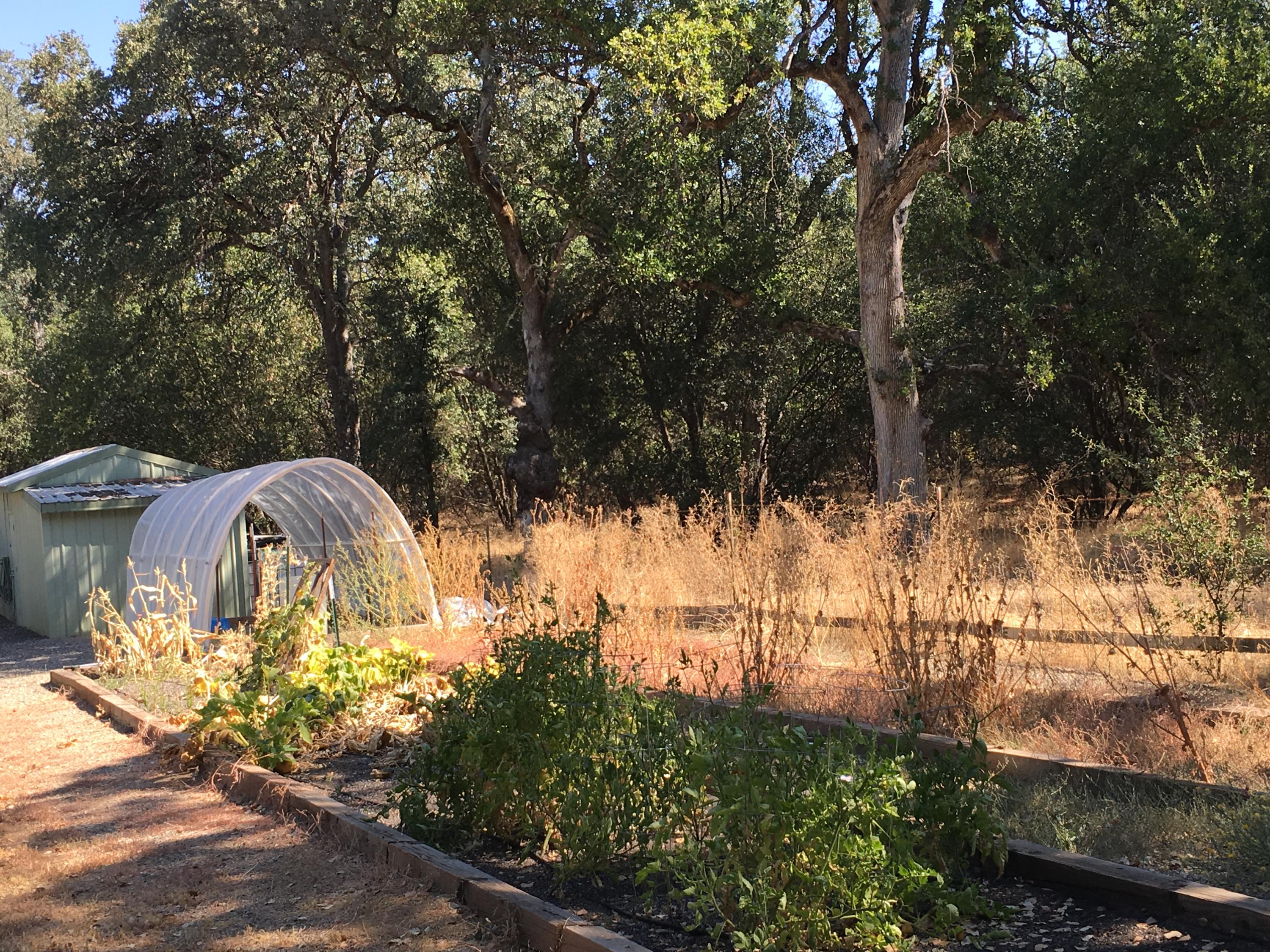 17215 Bowman Road Cottonwood, CA 96022 - Photo 28 of 30 garden area