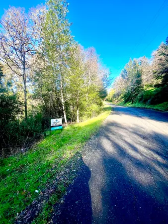 $30,000 | 303-317 Blue Rock Road, Benbow, CA 95542