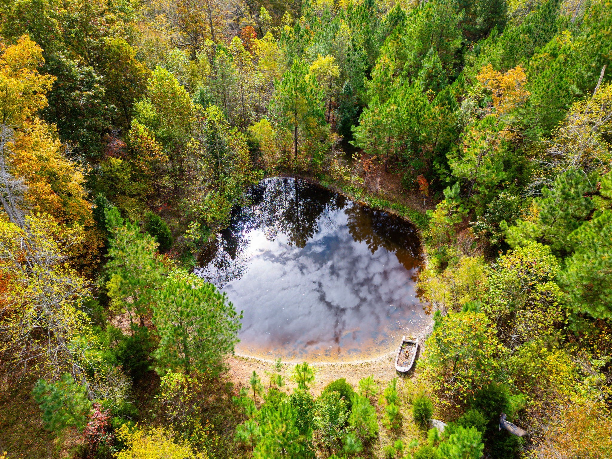 0 Meadows Road Portland, TN 37148 - Photo 11 of 30 a view of a garden with plants and large trees