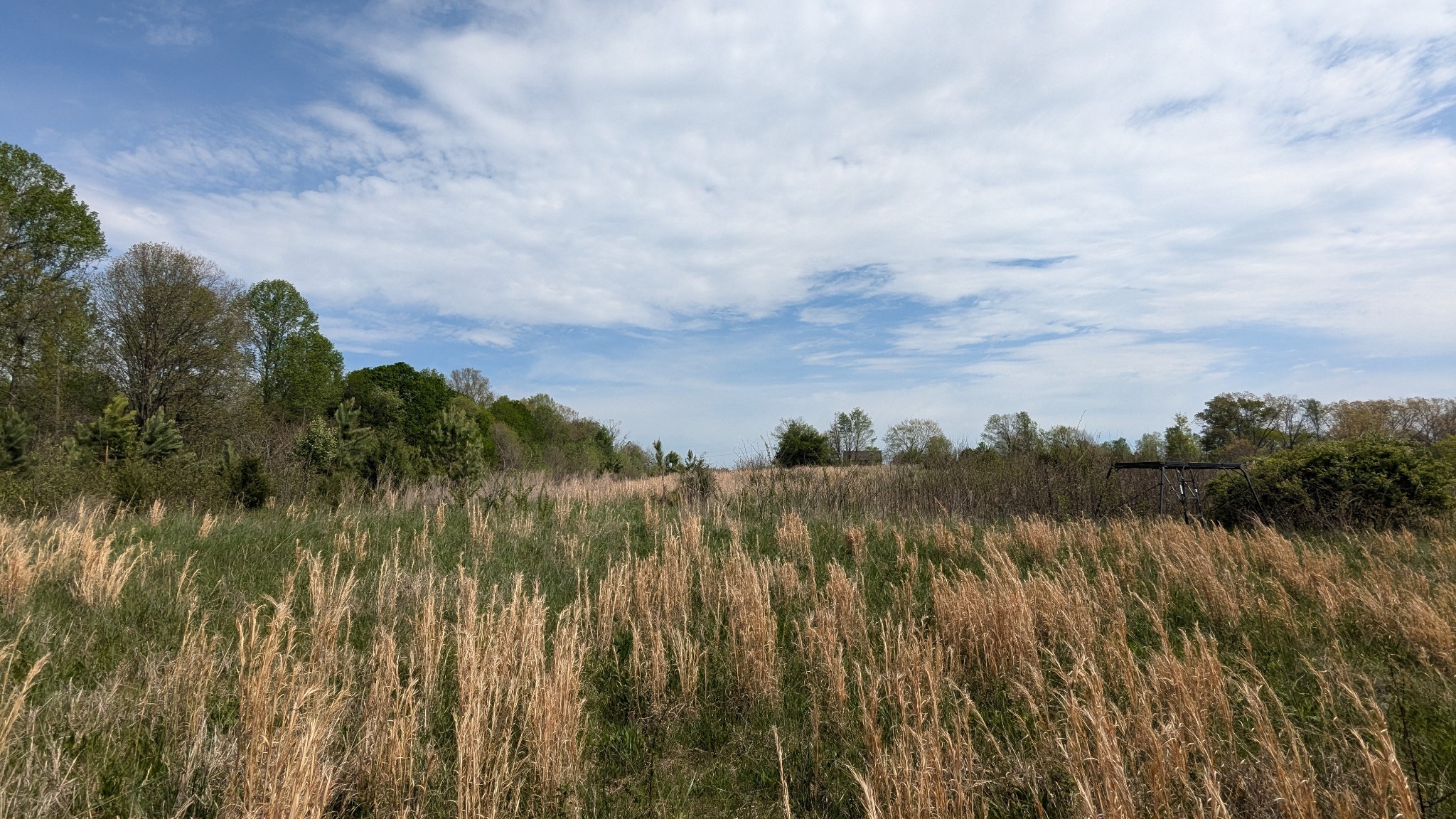 0 Meadows Road Portland, TN 37148 - Photo 12 of 30 a view of lake with green space