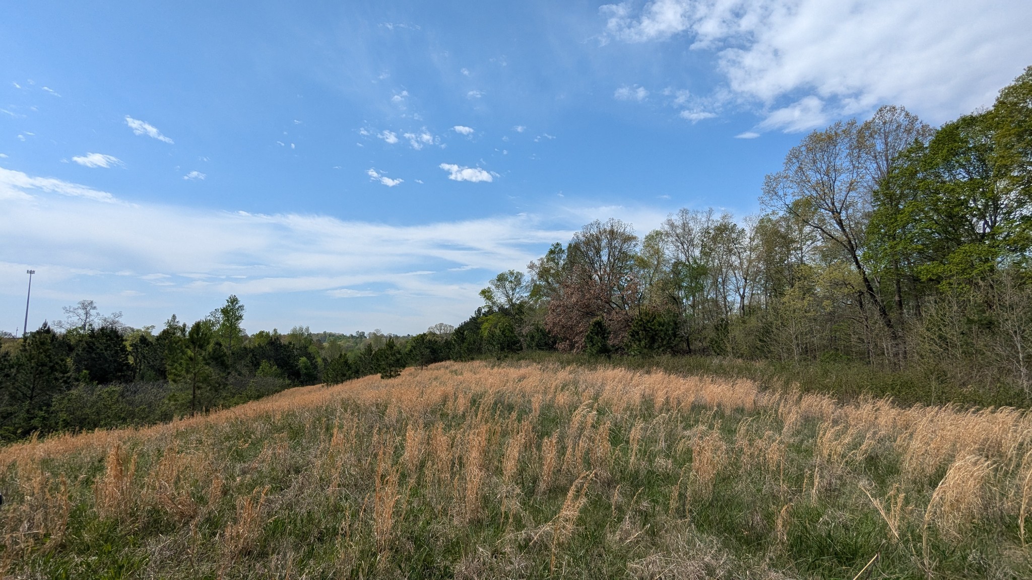 0 Meadows Road Portland, TN 37148 - Photo 13 of 30 a view of a yard with trees in the background