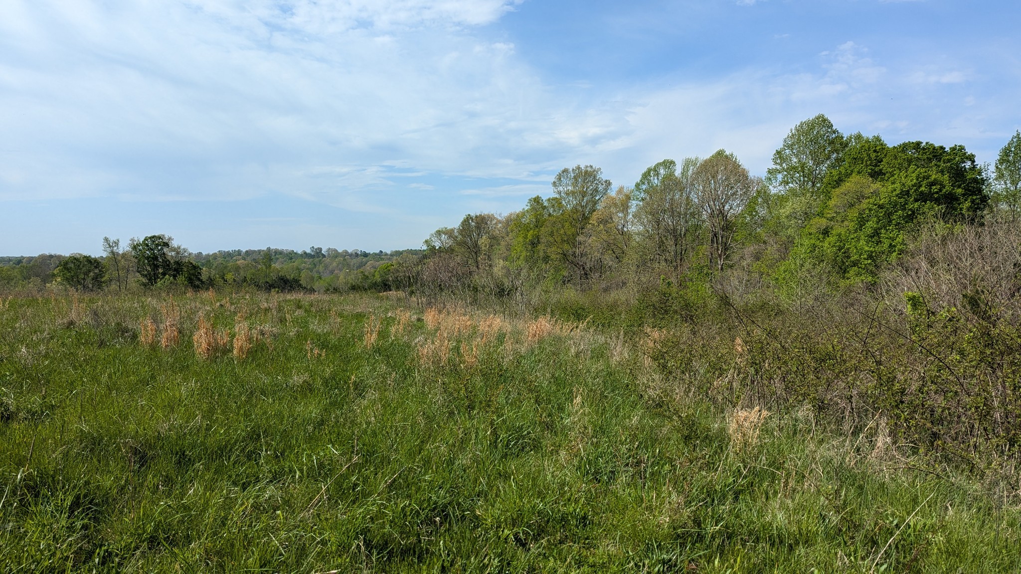 0 Meadows Road Portland, TN 37148 - Photo 14 of 30 a view of a lake and green valley