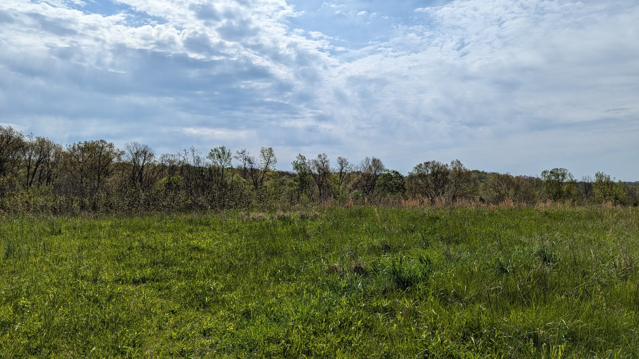 0 Meadows Road Portland, TN 37148 - Photo 15 of 30 a view of a bunch of trees in a field