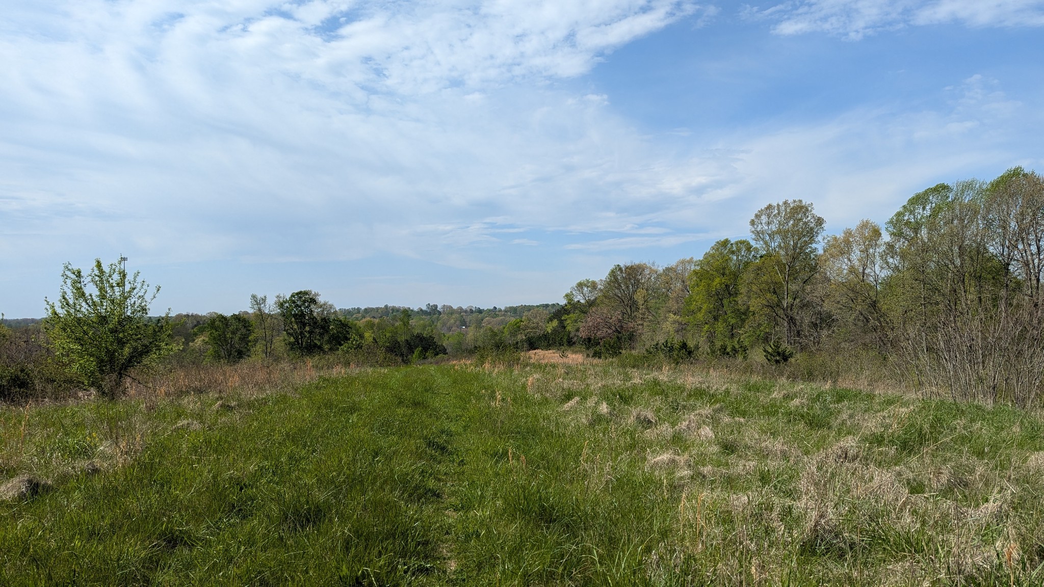 0 Meadows Road Portland, TN 37148 - Photo 16 of 30 a view of a field of grass and trees