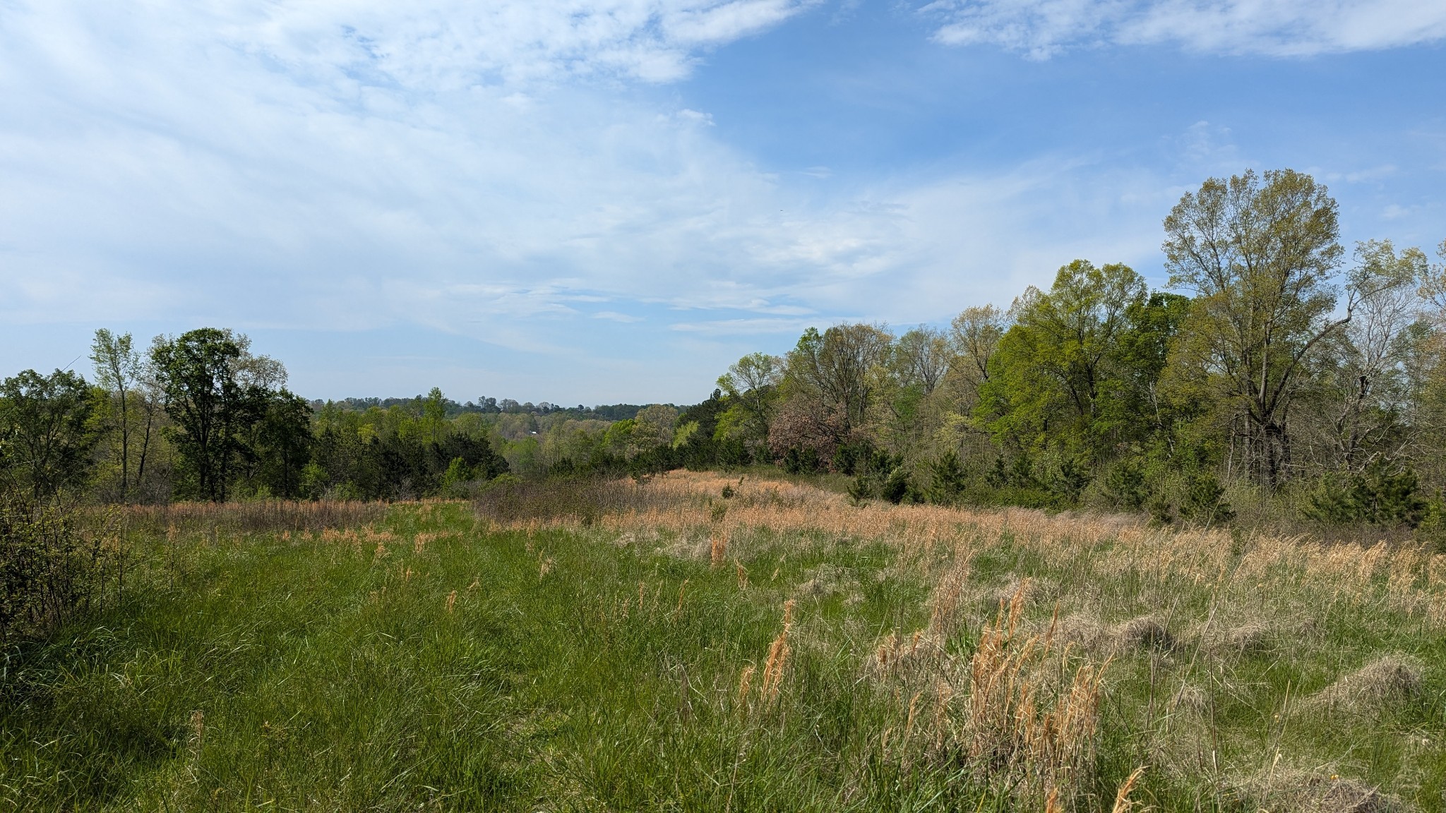 0 Meadows Road Portland, TN 37148 - Photo 17 of 30 a view of a field of grass and trees