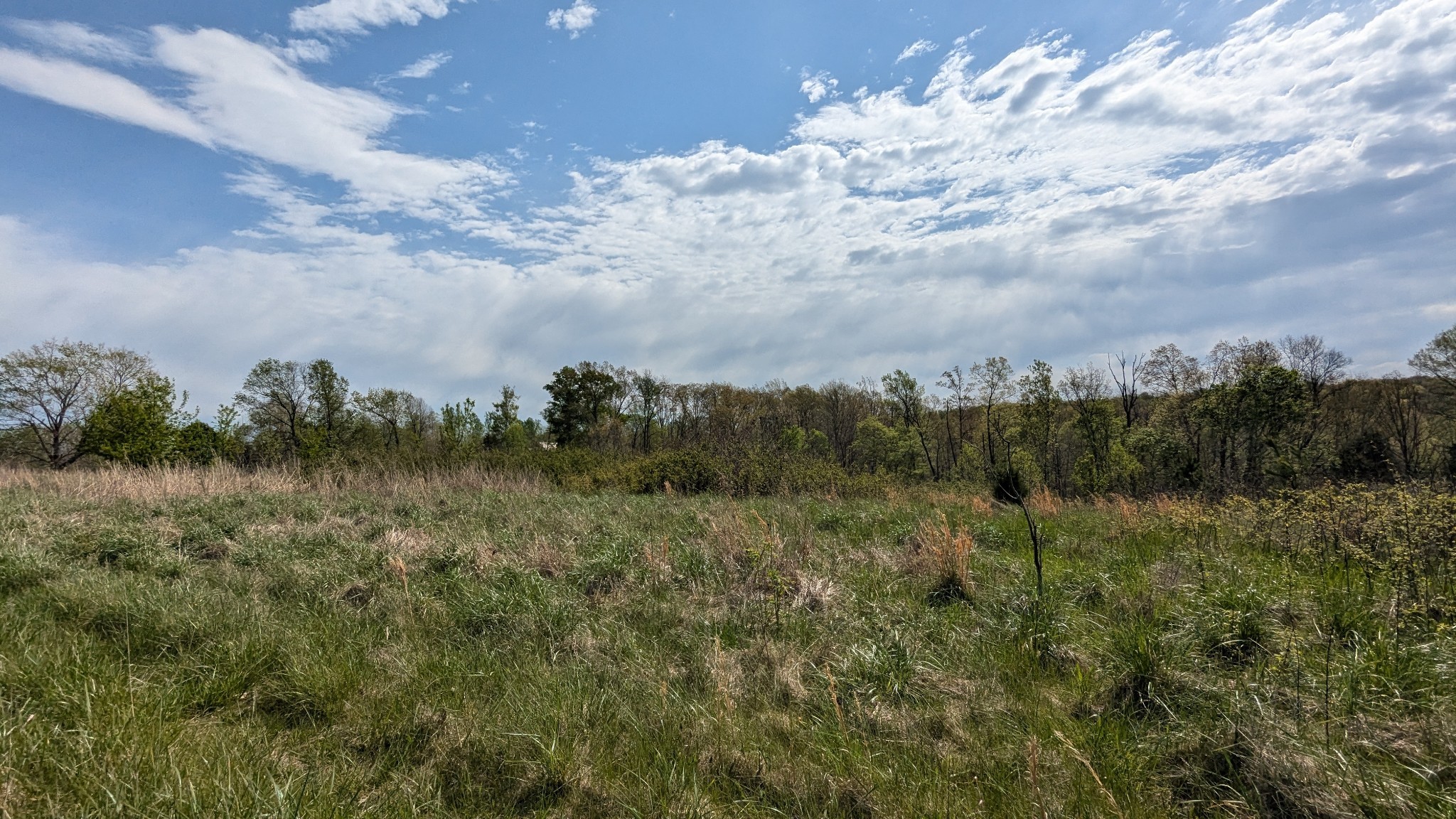 0 Meadows Road Portland, TN 37148 - Photo 18 of 30 a view of a lake in middle of forest