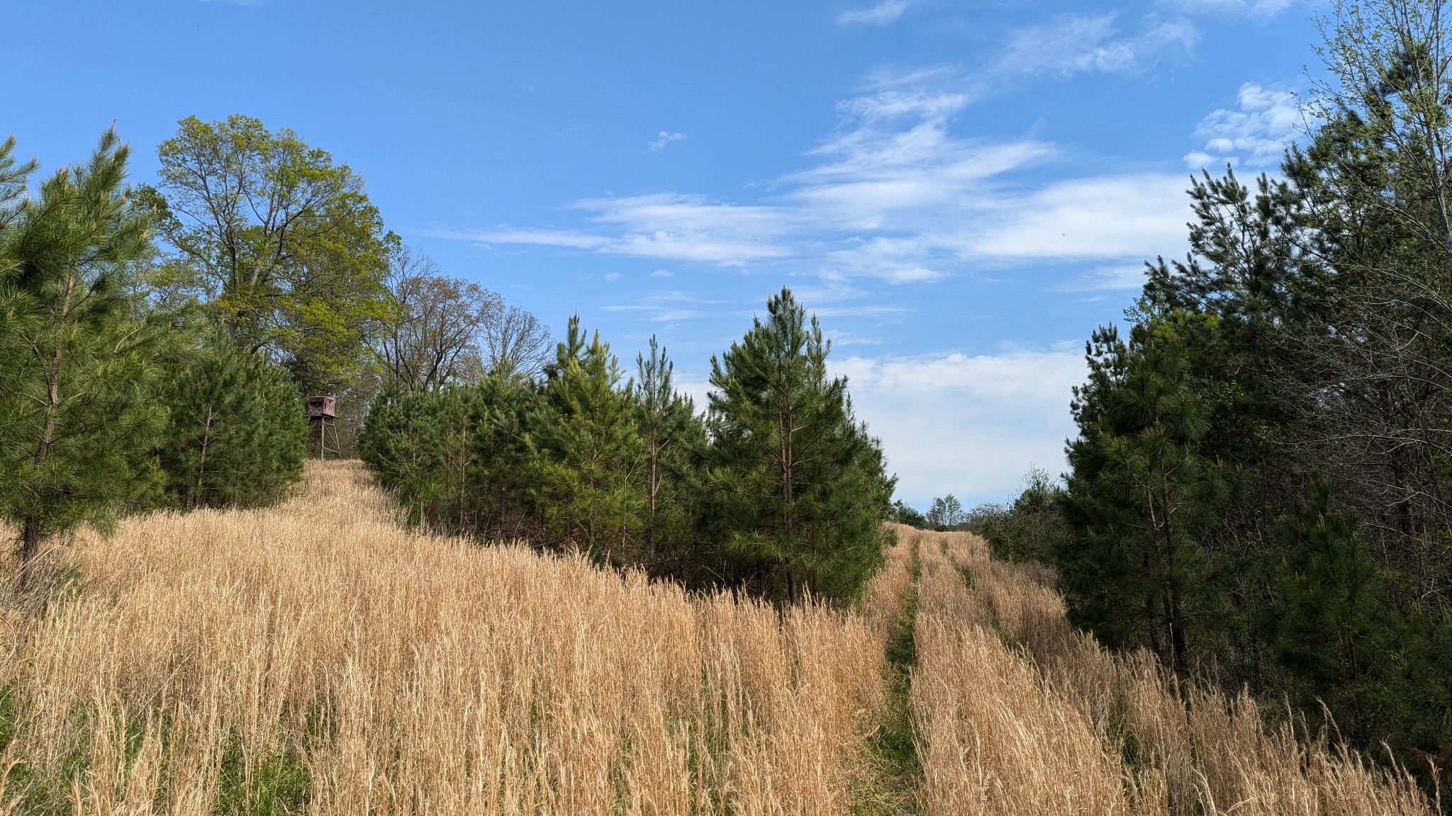 0 Meadows Road Portland, TN 37148 - Photo 19 of 30 a view of a yard with a wooden fence