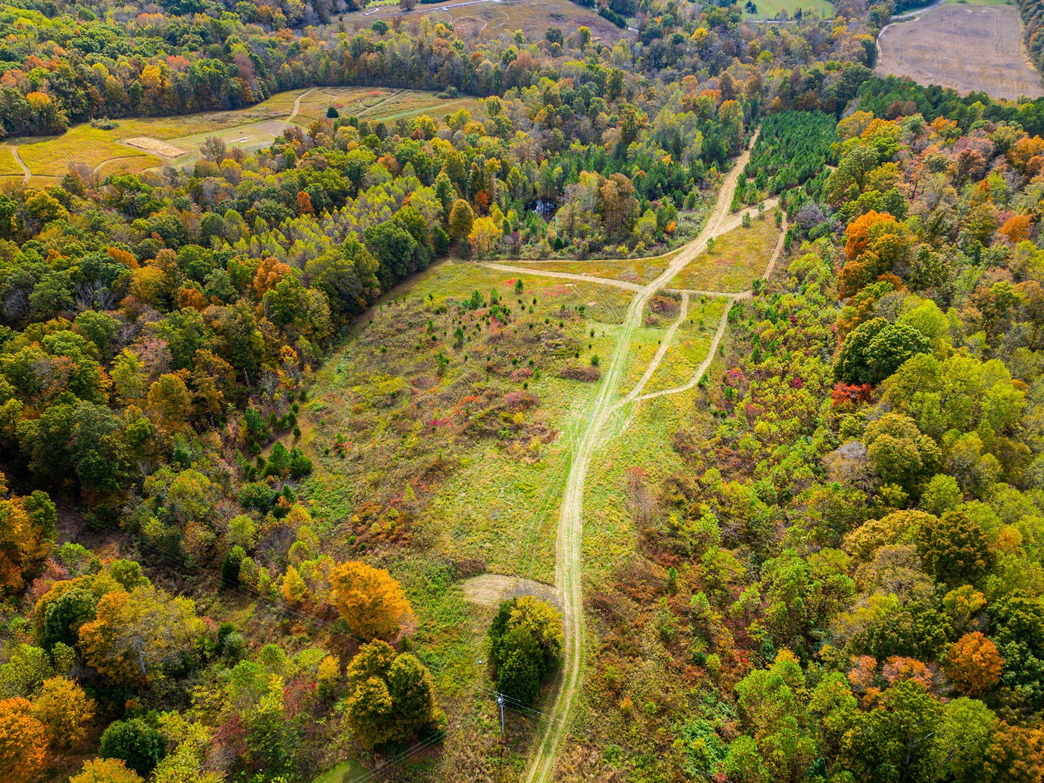 0 Meadows Road Portland, TN 37148 - Photo 2 of 30 a view of a yard
