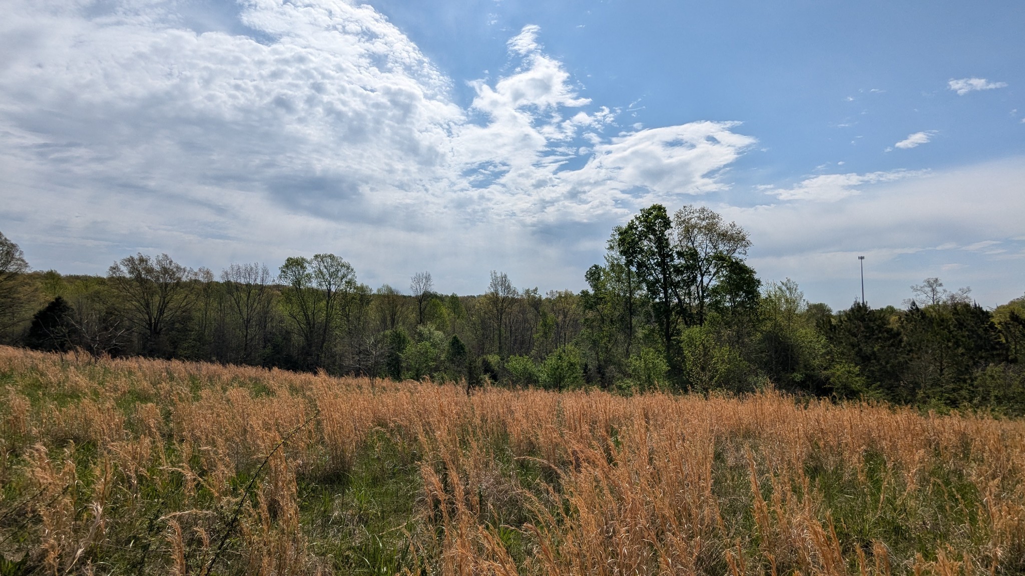 0 Meadows Road Portland, TN 37148 - Photo 21 of 30 a view of a dry yard
