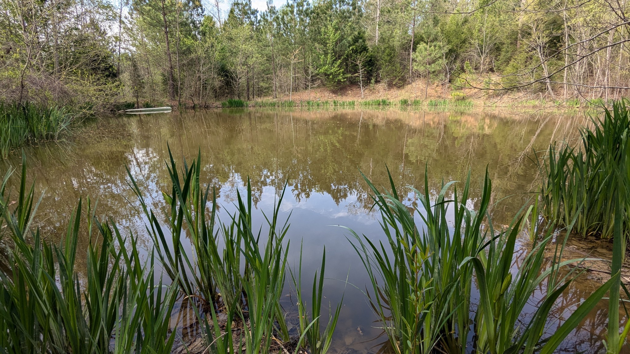 0 Meadows Road Portland, TN 37148 - Photo 22 of 30 a view of lake