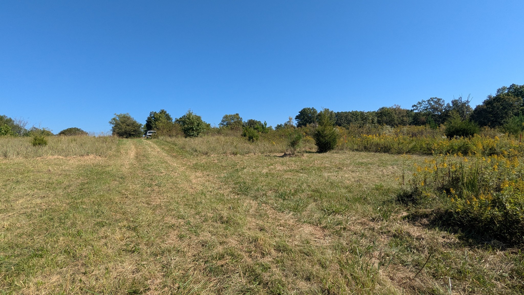 0 Meadows Road Portland, TN 37148 - Photo 25 of 30 a view of a field with a tree in the background
