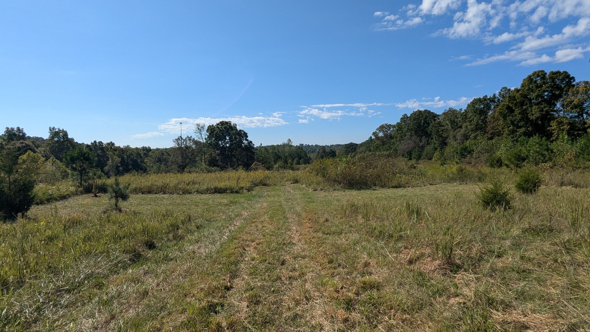 0 Meadows Road Portland, TN 37148 - Photo 26 of 30 a view of an outdoor space with green field and trees