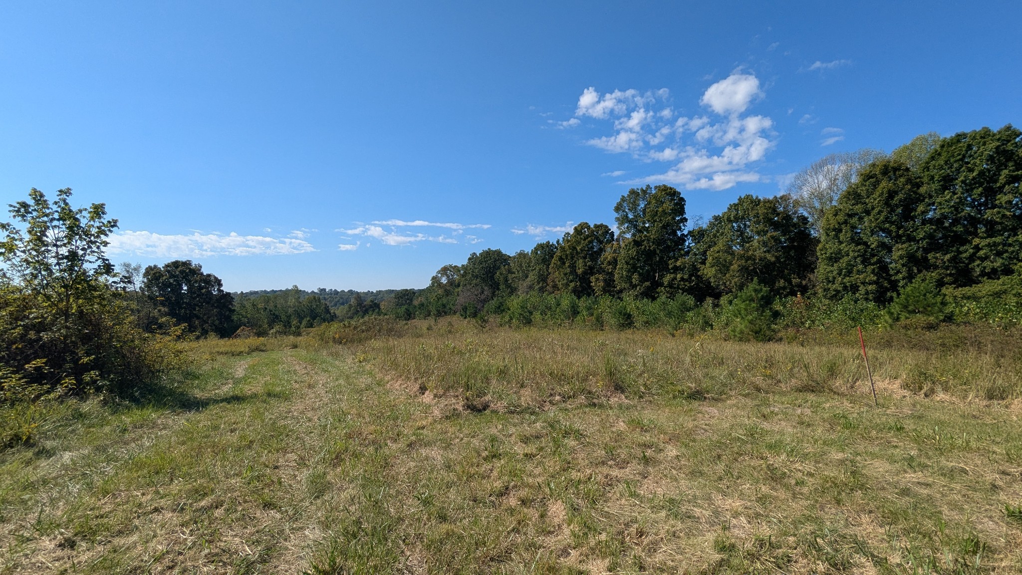 0 Meadows Road Portland, TN 37148 - Photo 28 of 30 a view of a lake with a mountain