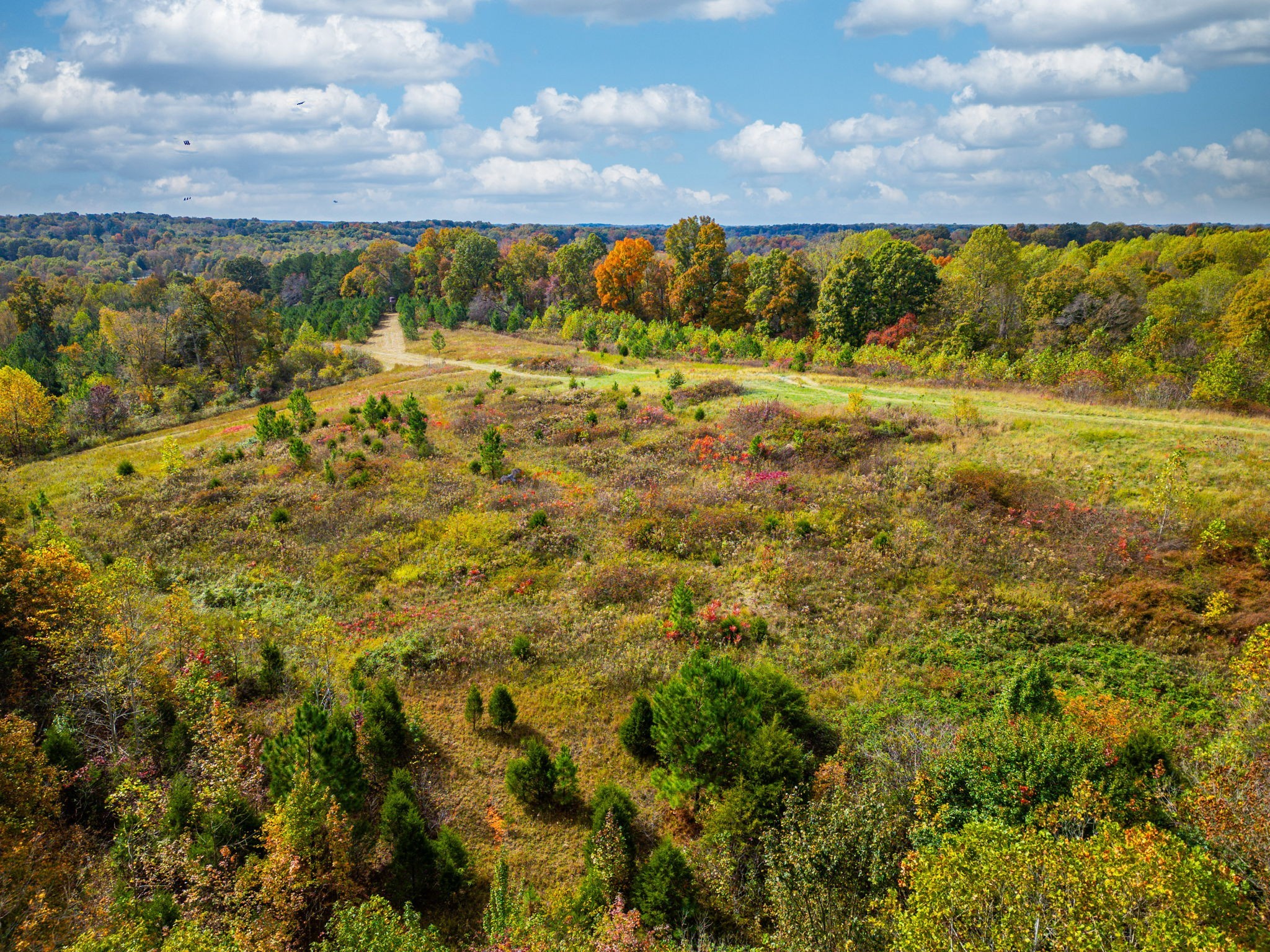 0 Meadows Road Portland, TN 37148 - Photo 4 of 30 a view of a city with an ocean