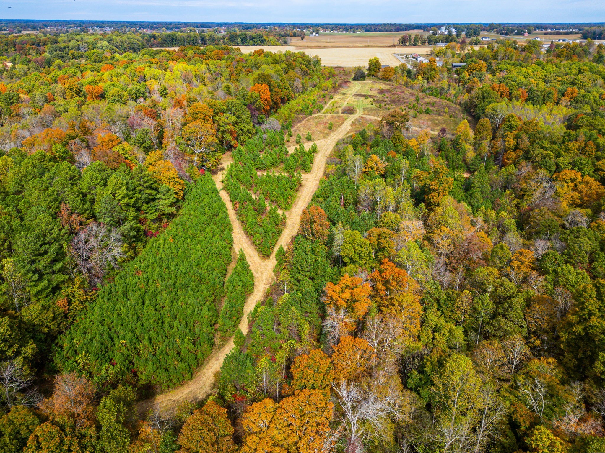 0 Meadows Road Portland, TN 37148 - Photo 6 of 30