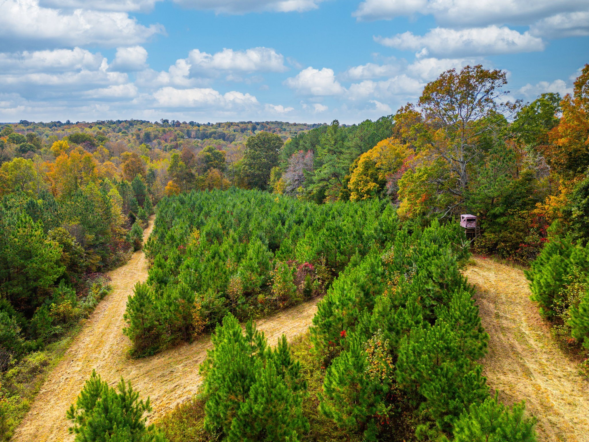 0 Meadows Road Portland, TN 37148 - Photo 7 of 30 a view of lake with green space