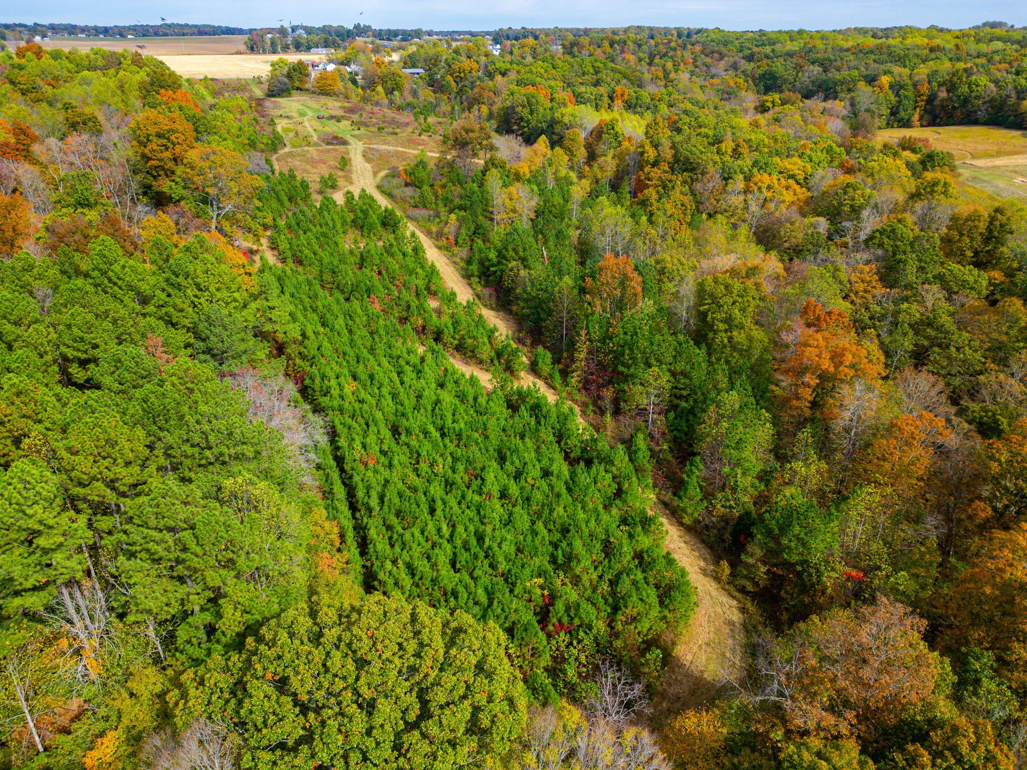 0 Meadows Road Portland, TN 37148 - Photo 8 of 30 a view of a yard